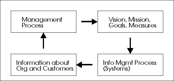The Management / Information Management Cycle